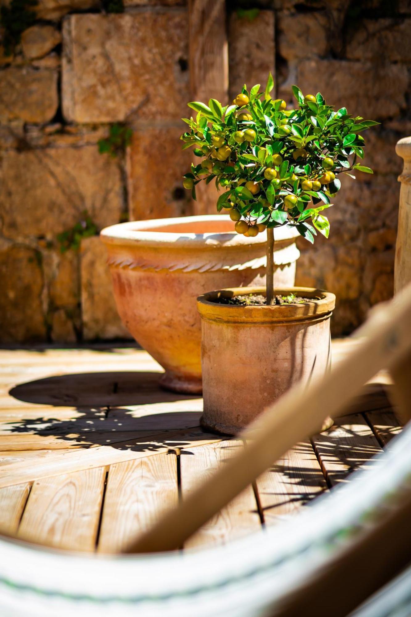 Maison Des Chanoines سارلا لا كانيدا المظهر الخارجي الصورة